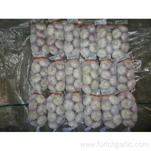 5.0cm Fresh Normal White Garlic